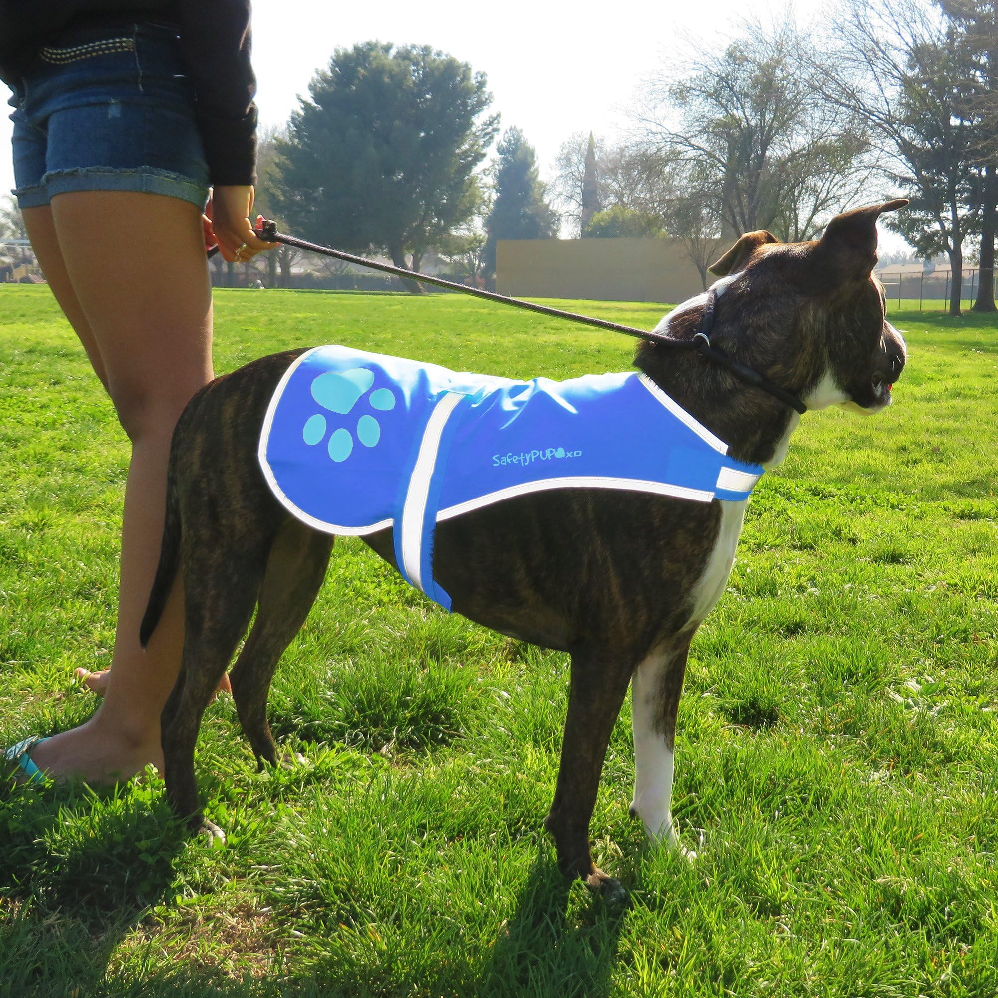 SafetyPUP XD Urban Reflective Vest. Our Fluorescent Hi-Visibility Dog et lti-Colors Helps to Safeguard Your PUP in The Outdoors On and Off Leash