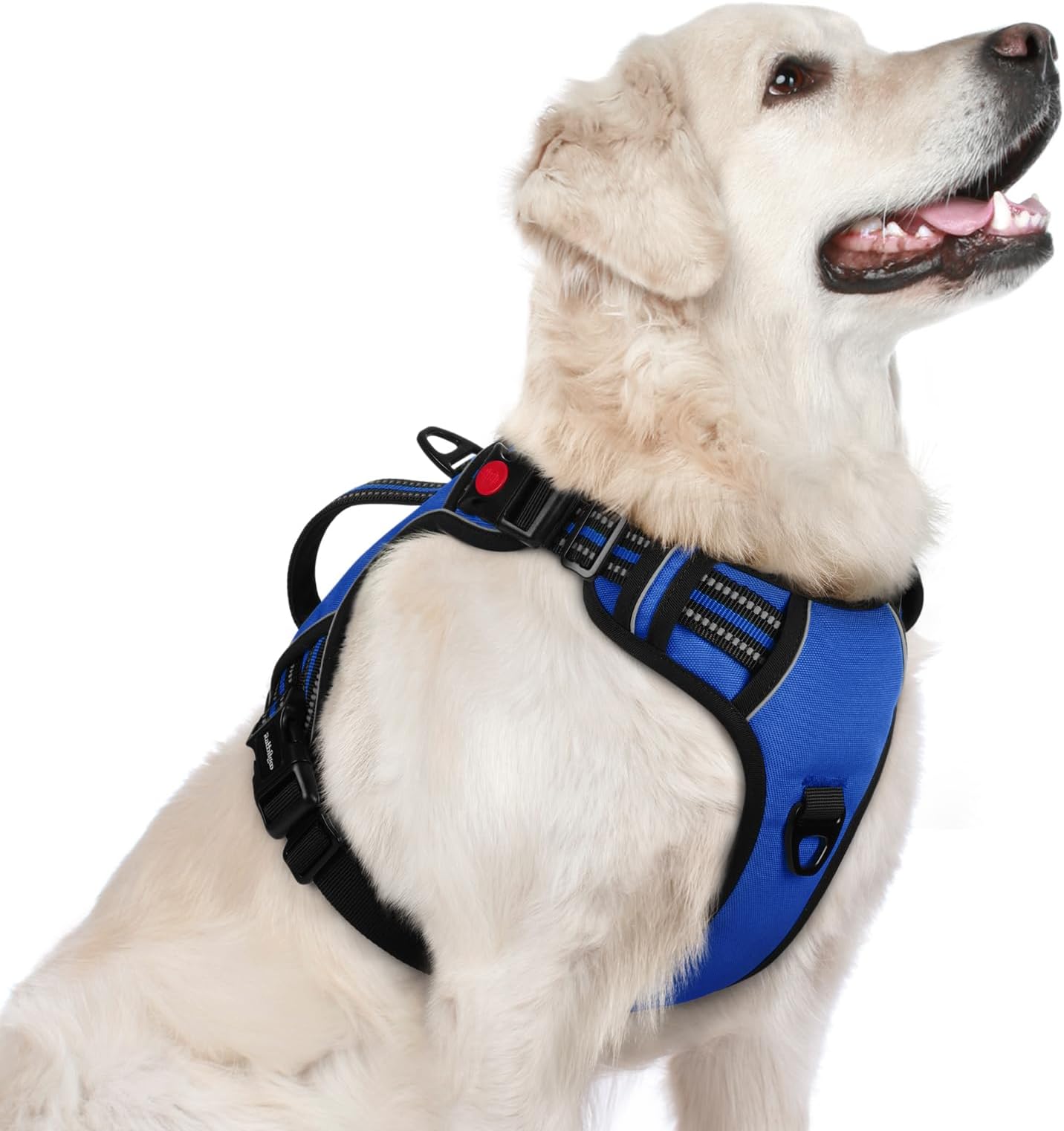 rabbitgoo Dog Sized, No Pull Pet Soft Padded Handle, Adjustable Reflective Vest 3 Buckles, Easy Walking Harness with 2 Leash Clips,, M