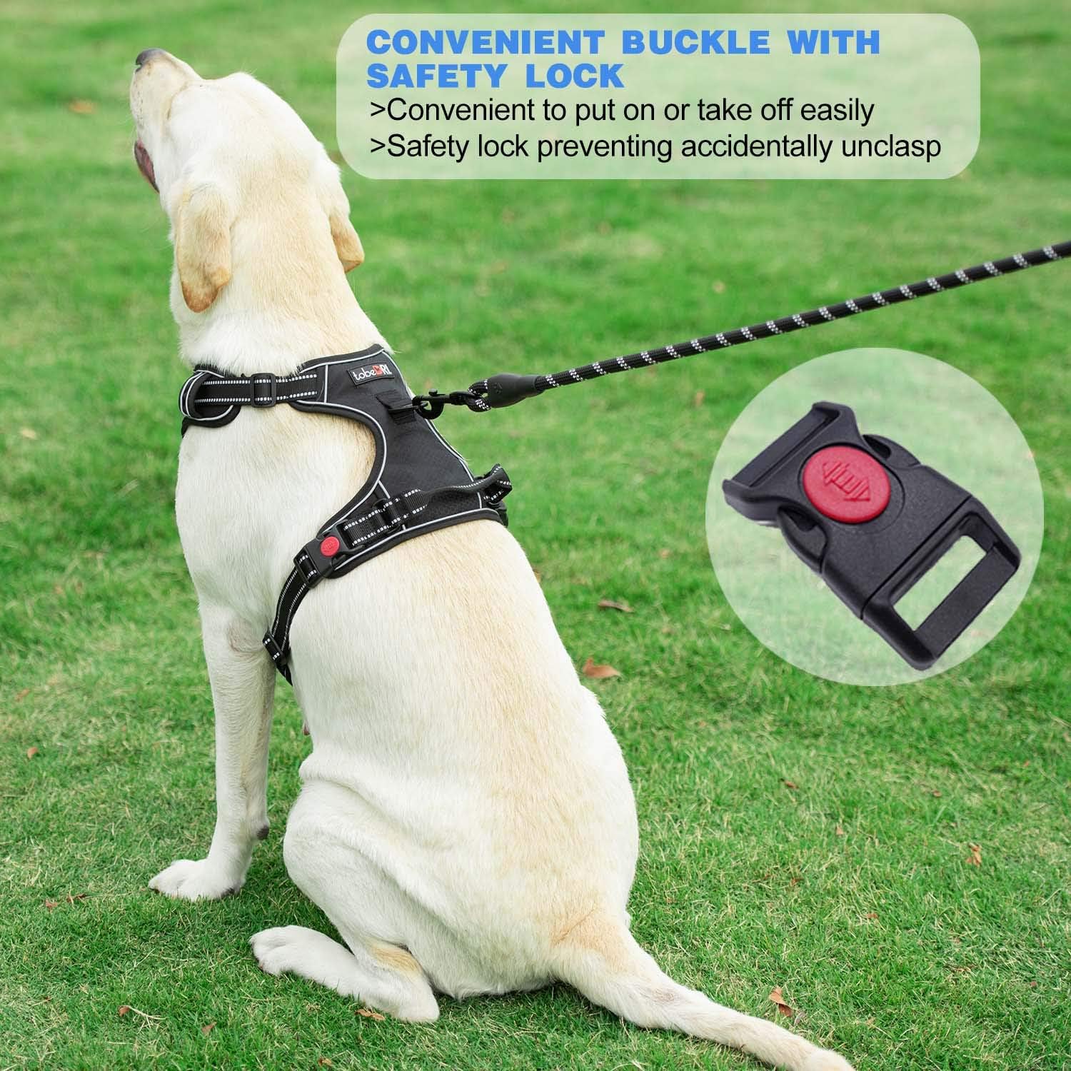 tobeDRI No Pull Adjustable Reflective Oxford Easy Control Medium Harness with A Free Heavy Duty 5ft Dog Leash (L (Neck: 18 -25.5 , Chest: 24.5 -33 ), 