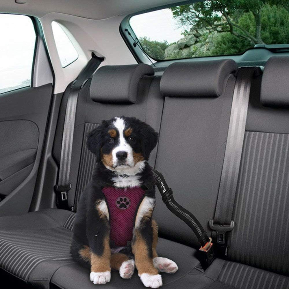 SlowTon Seat Belt Car, Car Harness Adjustable Mesh Breathable & Dog Seatbelt Safety Tether with Elastic Bungee for Medium Large Pets(Light Blue, Doubl