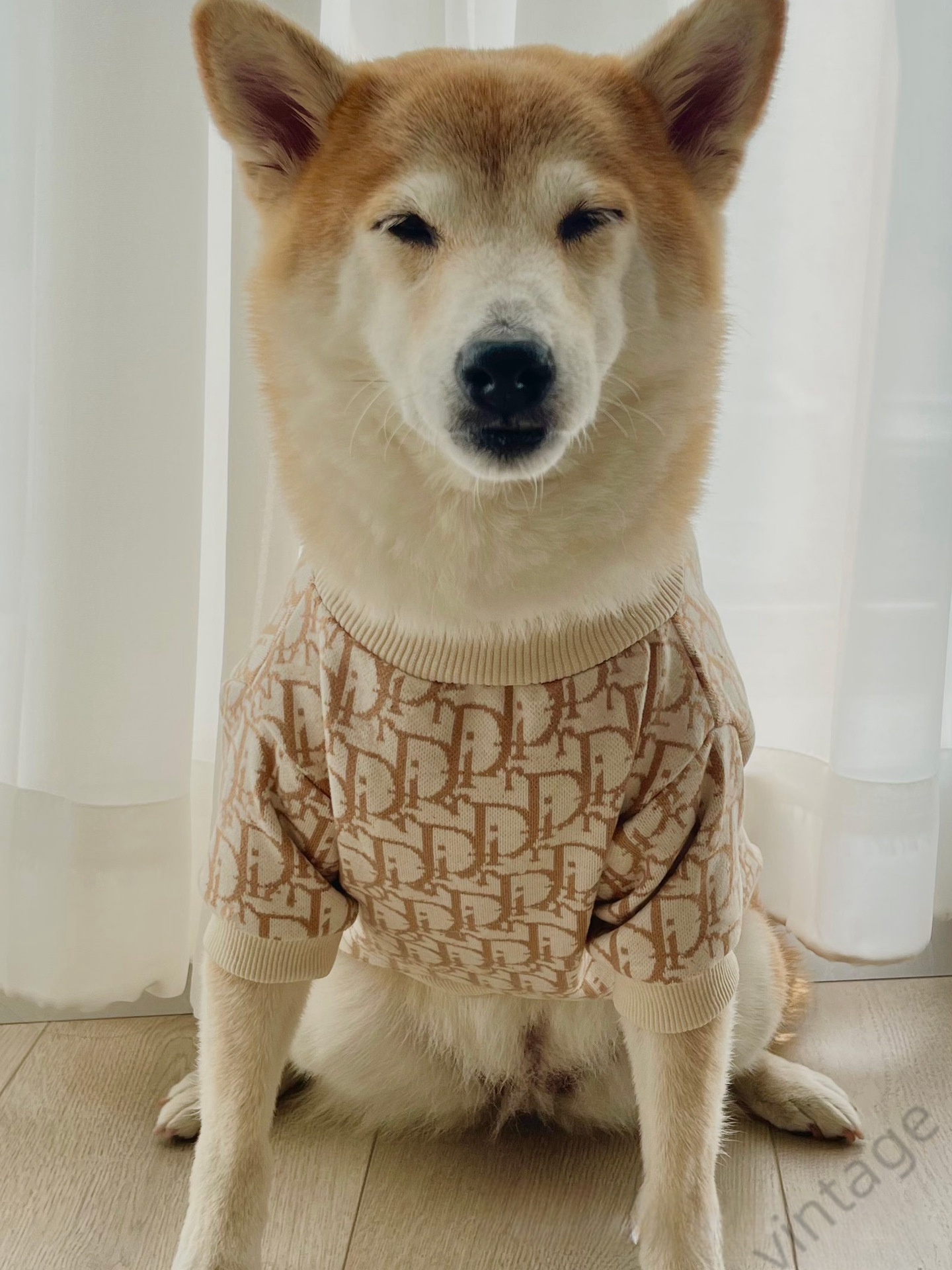 Trendy Pet Sweater, Large Dog And Puppy Universal Clothing Designer Bichon Frize, Corgi, Teddy Golden Retriever, Samoyed Dog Coat, Cat Clothes