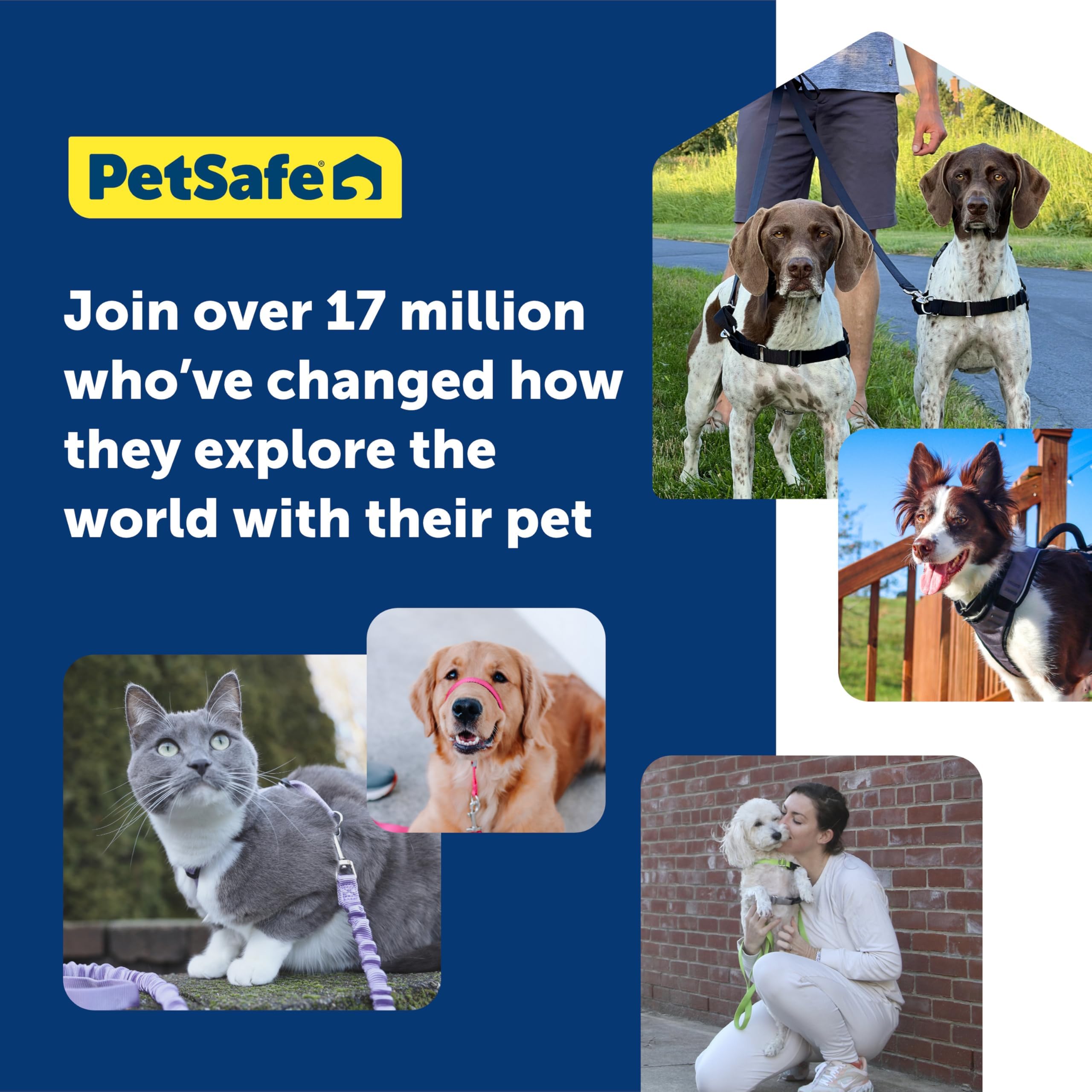 PetSafe Easy Walk No-Pull Dog The Ultimate Harness to Help Stop Take Control & Teach Better Leash Manners - Helps Prevent Pets Pulling on Walks,,/Blac
