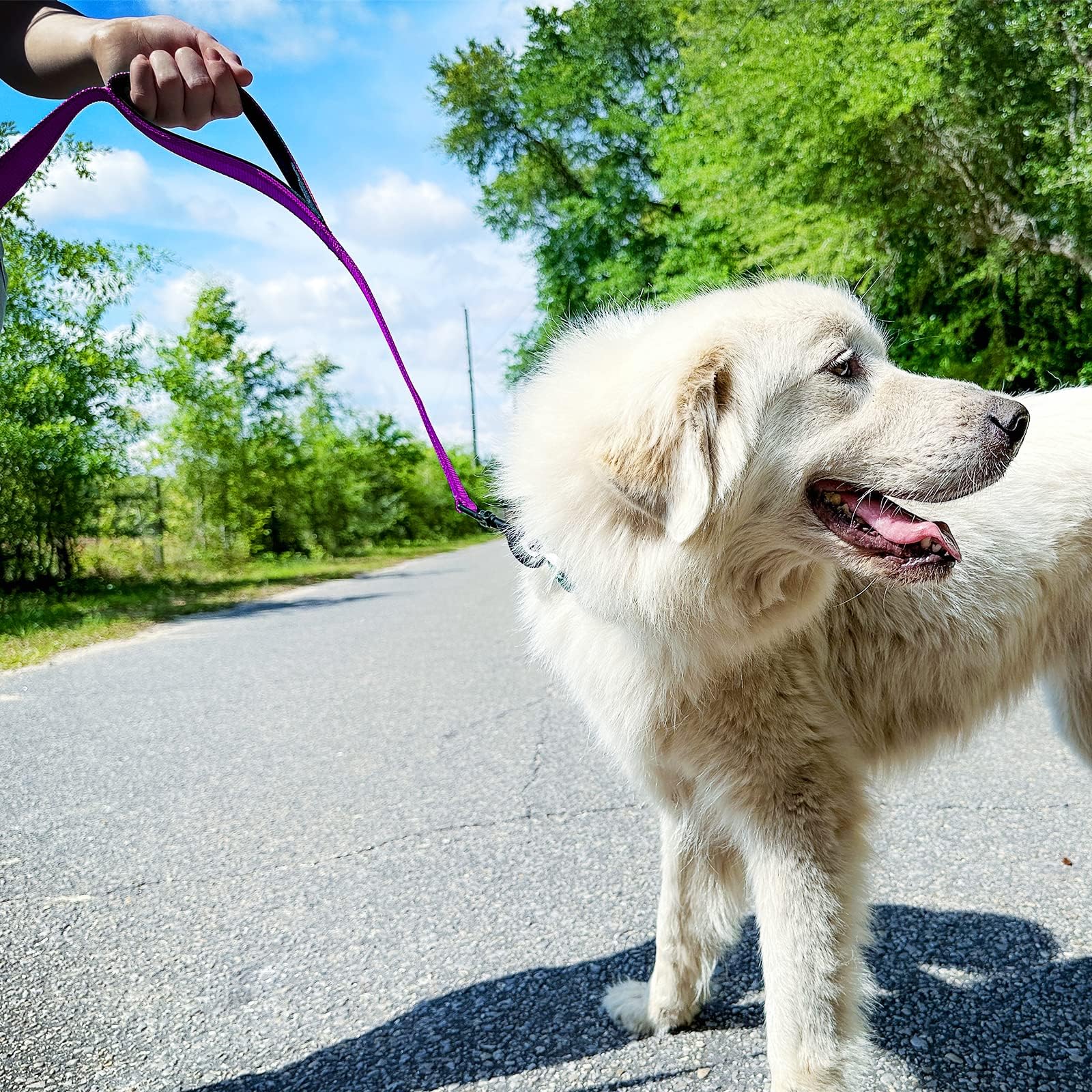 Joytale Heavy Duty Dogs That Pull, Double Handle Traffic Control, Double-Sided Reflective Night Safety, Dog Leash for Large Medium Dogs,FT, Orange