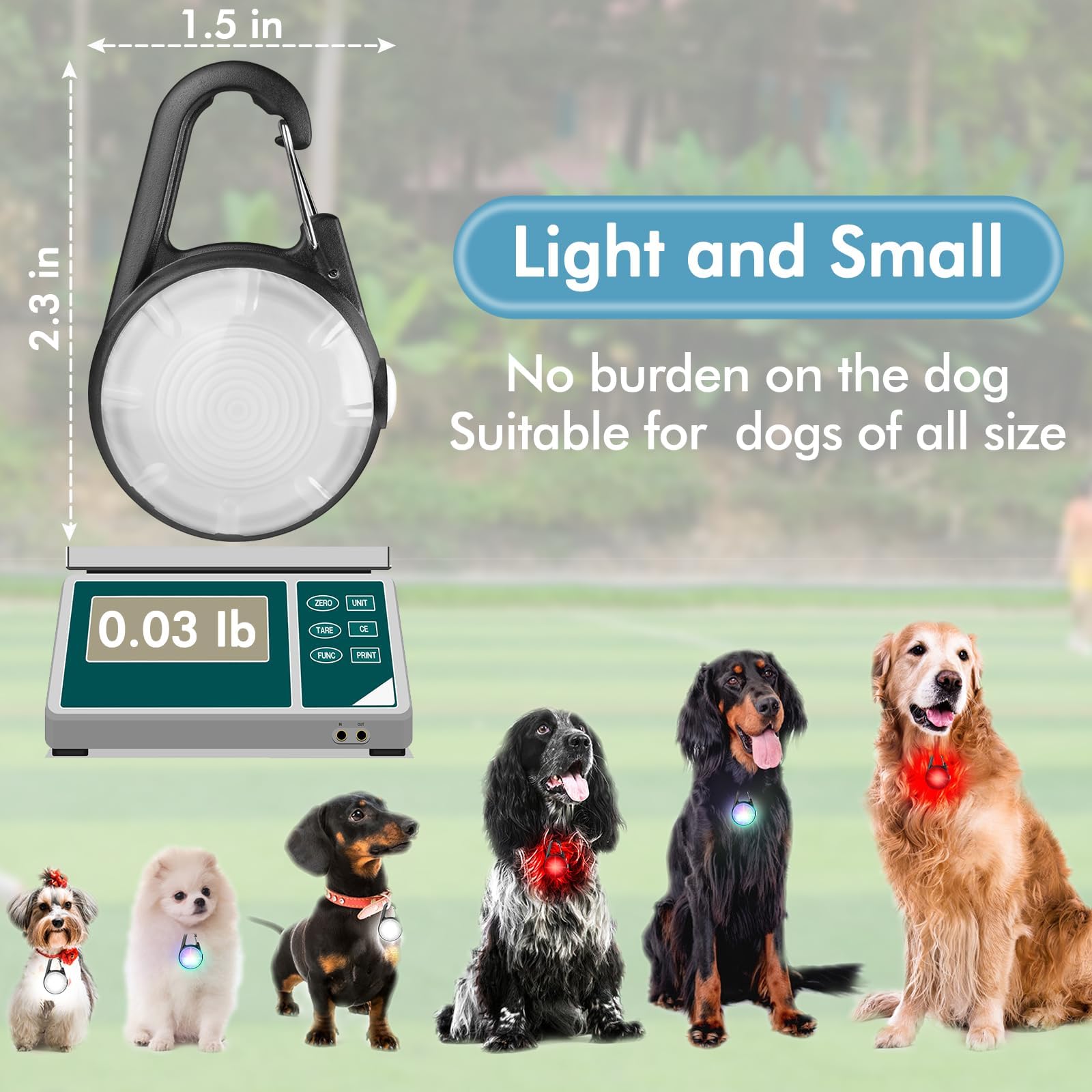 HIFORT 2 Packs 4 Modes Collar Nighttime Clip on, High Capacity USB Rechargeable Light, IP68 Waterproof Dog Lights for Night Walking, Climbing, Camping