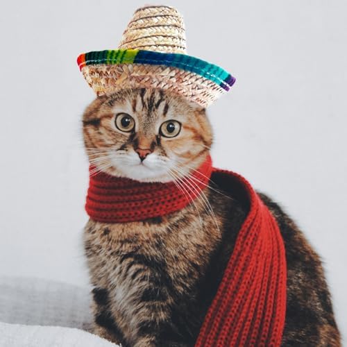 AWOCAN Straw Hat Funny Mexican Sombrero Cap Party Decorations Cinco De Mayo Pet Hats for Small Pets/Puppy/Cat