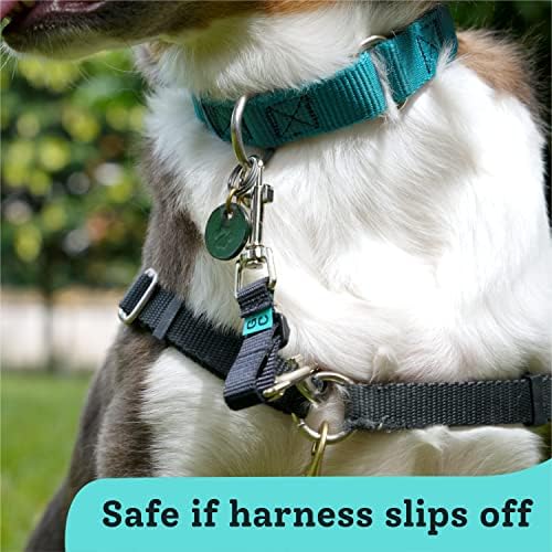 Creatures Companion Adjustable Collar Backup for Dog Harness, Prong, Pinch Collar, Gentle Lead Double Ended Clasp - Safety Clip