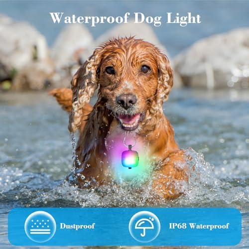 JUFDS Rechargeable k LED Collar Clip on with 4 Lighting Modes Safety Red Lights Harness Leashes Light for Dog Night Walking Running Camping