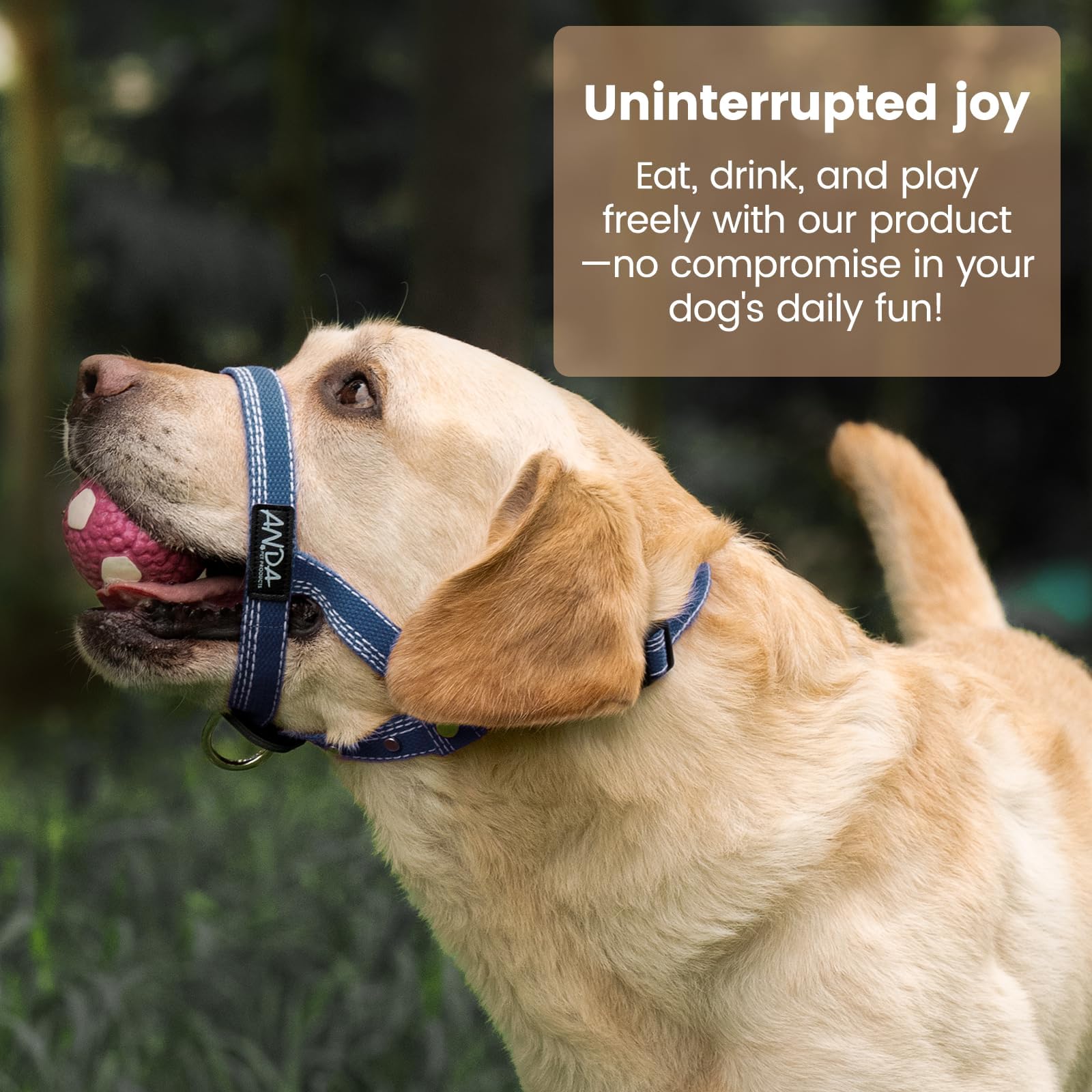 ANDA Gentle Leader Ultra-Light No-Pull Dog Headcollar: Adjustable, Breathable Comfort, Prevents Explosive Rushes, Ideal for Daily Use