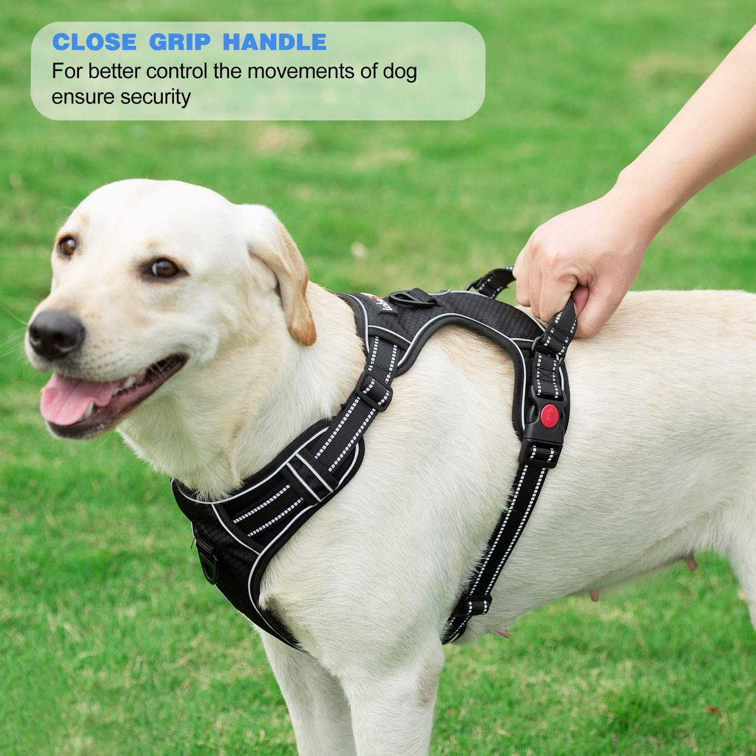 tobeDRI No Pull Adjustable Reflective Oxford Easy Control Medium Harness with A Free Heavy Duty 5ft Dog Leash (L (Neck: 18 -25.5 , Chest: 24.5 -33 ), 