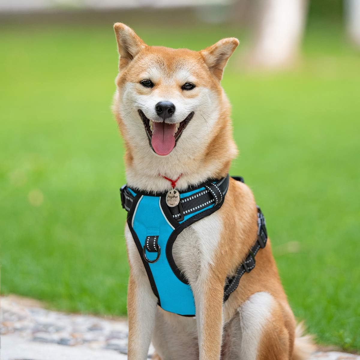 PoyPet No Pull Dog Harness, Reflective Comfortable Harness with Front & Back 2 Leash Attachments and Easy Control Handle Adjustable Soft Padded Pet Ve