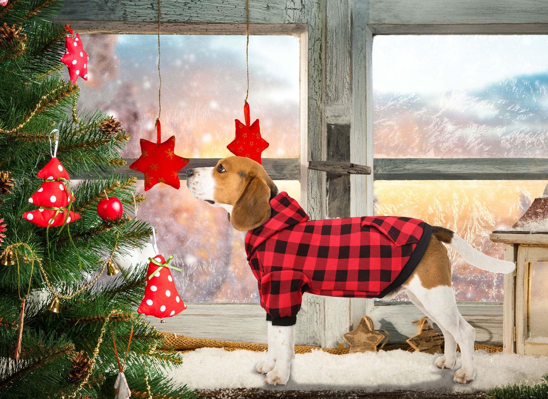 Hoodie Sweater Red Plaid Clothes Warm and Soft Breathable Cozy Hoodies Dog Sweaters for Extra Large Dogs with Pocket(XL