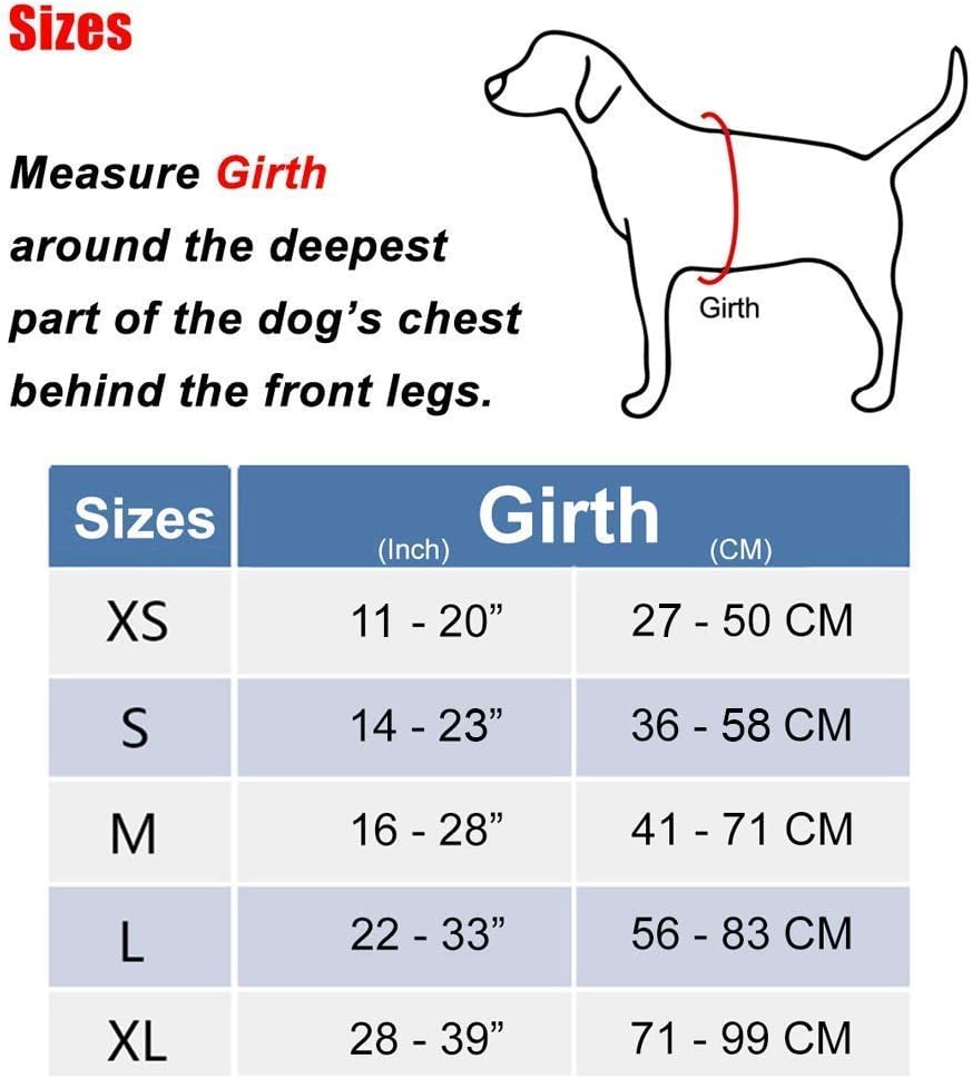 PoyPet No Pull Dog Harness, Reflective Comfortable Harness with Front & Back 2 Leash Attachments and Easy Control Handle Adjustable Soft Padded Pet Ve