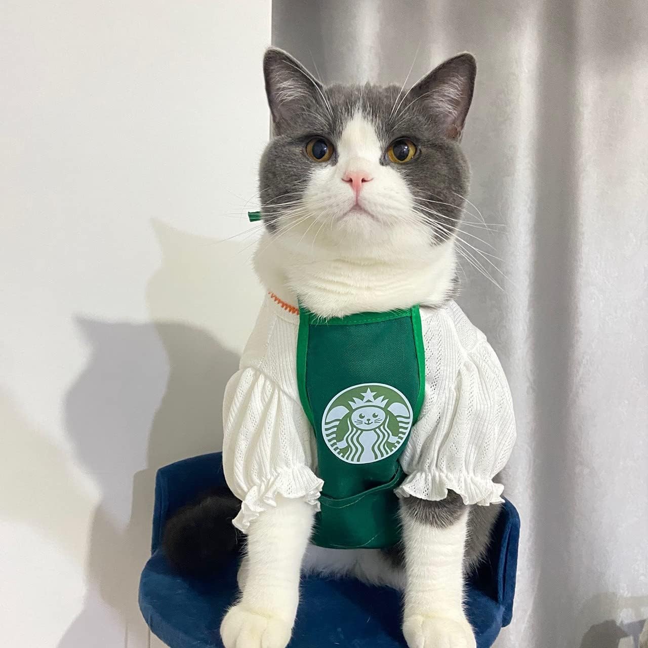 RUPO Bucks Cat Dog Clothes, Funny Pet Costume, Suitable for Most Small Dogs or CatsSoft, Comfortable, and Breathable