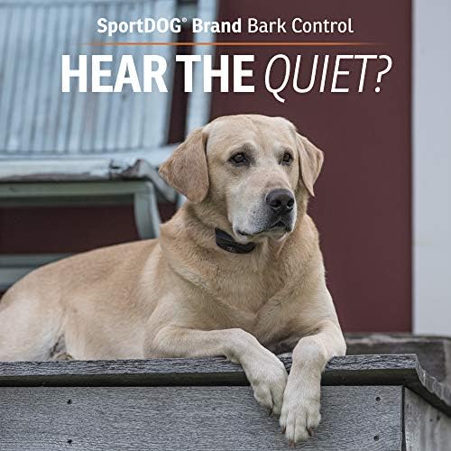 SportDOG NoBark 10 Collars, Rechargeable, Programmable Collar, Silent Parer Technology, Two Modes of Operation, Waterproof Dog Bark Collar (Black)