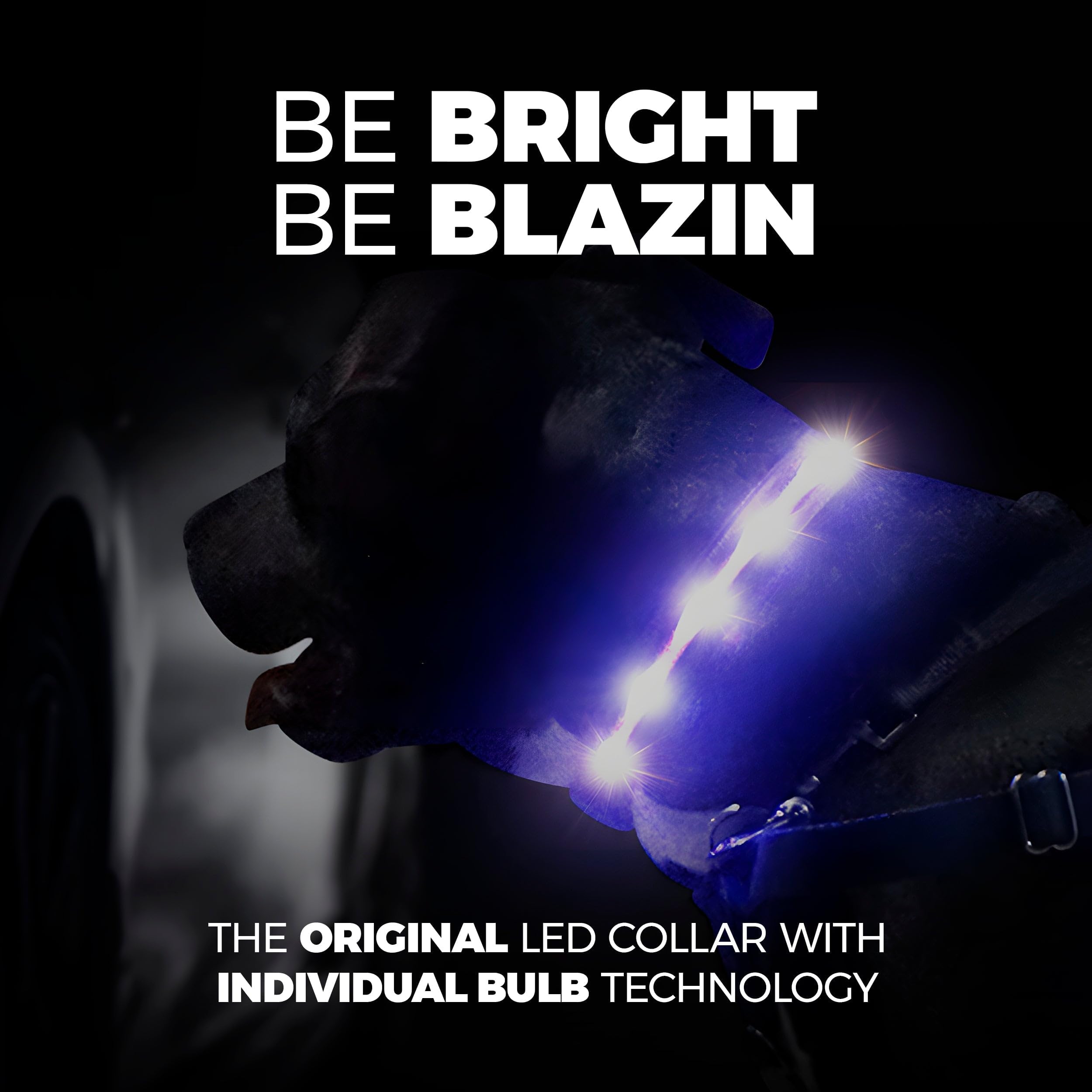 BLAZIN Brightest Up Collars The Original LED with 1,000 Feet of Visibility USB Rechargeable Waterproof Collar Light Dog Lights for Night Walking - USA