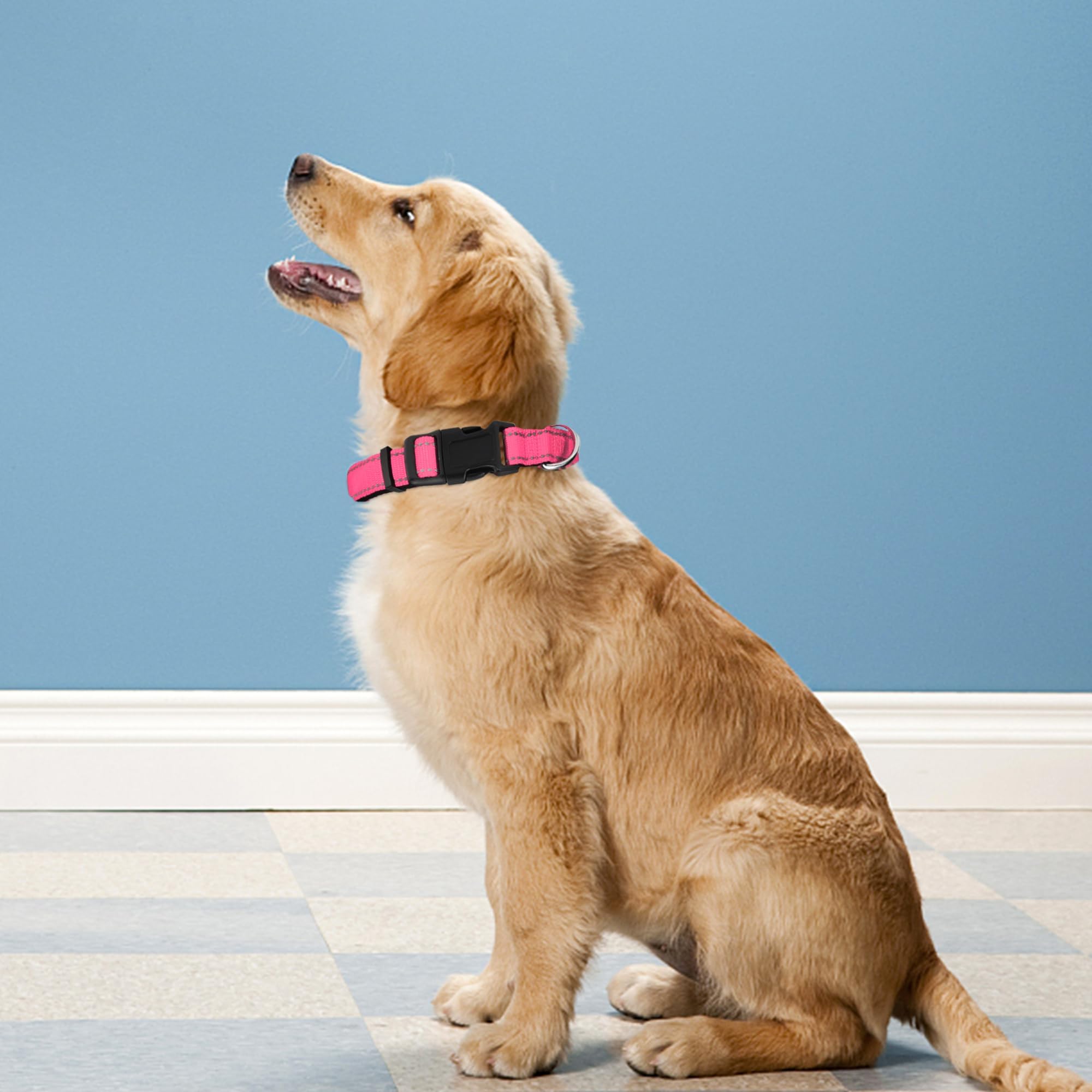 PWOD Reflective Dog Collar, Adjustable Soft Neoprene Padded Nylon Pet Collars with Buckle for Dogs,,M