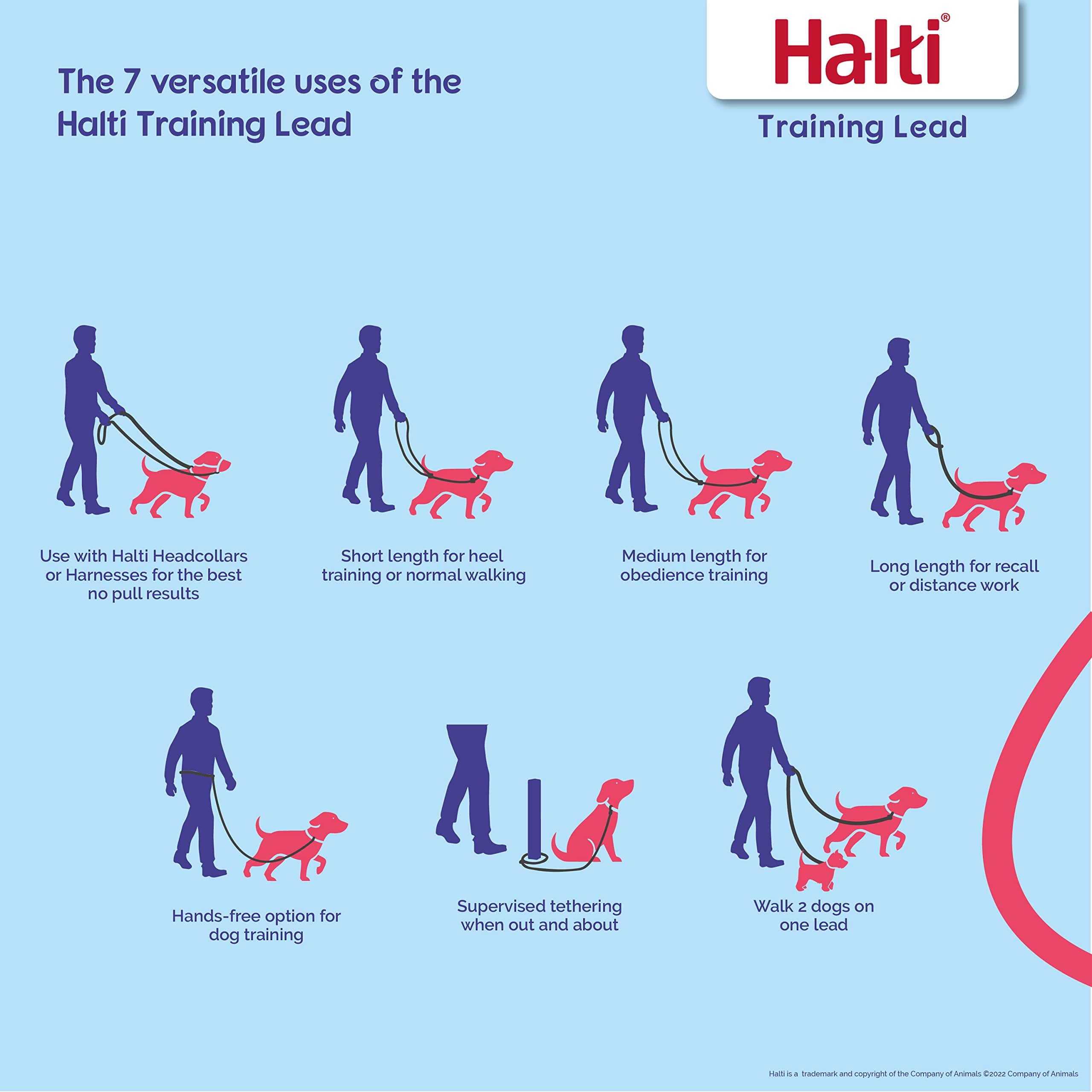 HALTI Training Leash - ltifunctional Double-Ended Leash, Ideal Anti-Pulling Dog Training. Lightweight Durable. Suitable for to Medium Dogs & Puppies (