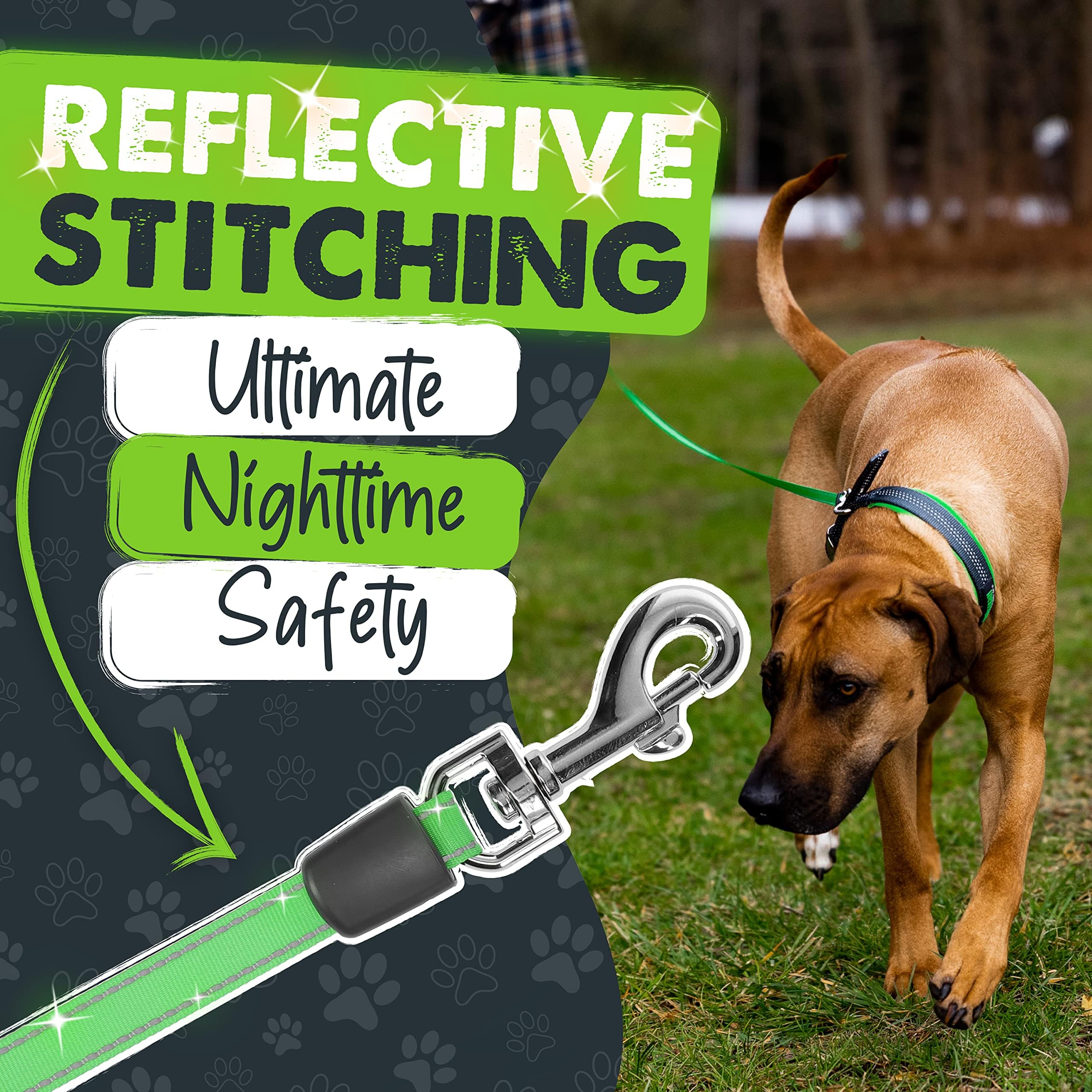 Mighty Paw Retractable with Built-in Poop Bag Holder | 16' Long Leash Small Dogs, Medium Breeds & Large Pets. Tape for Quick Control. Bags Includ