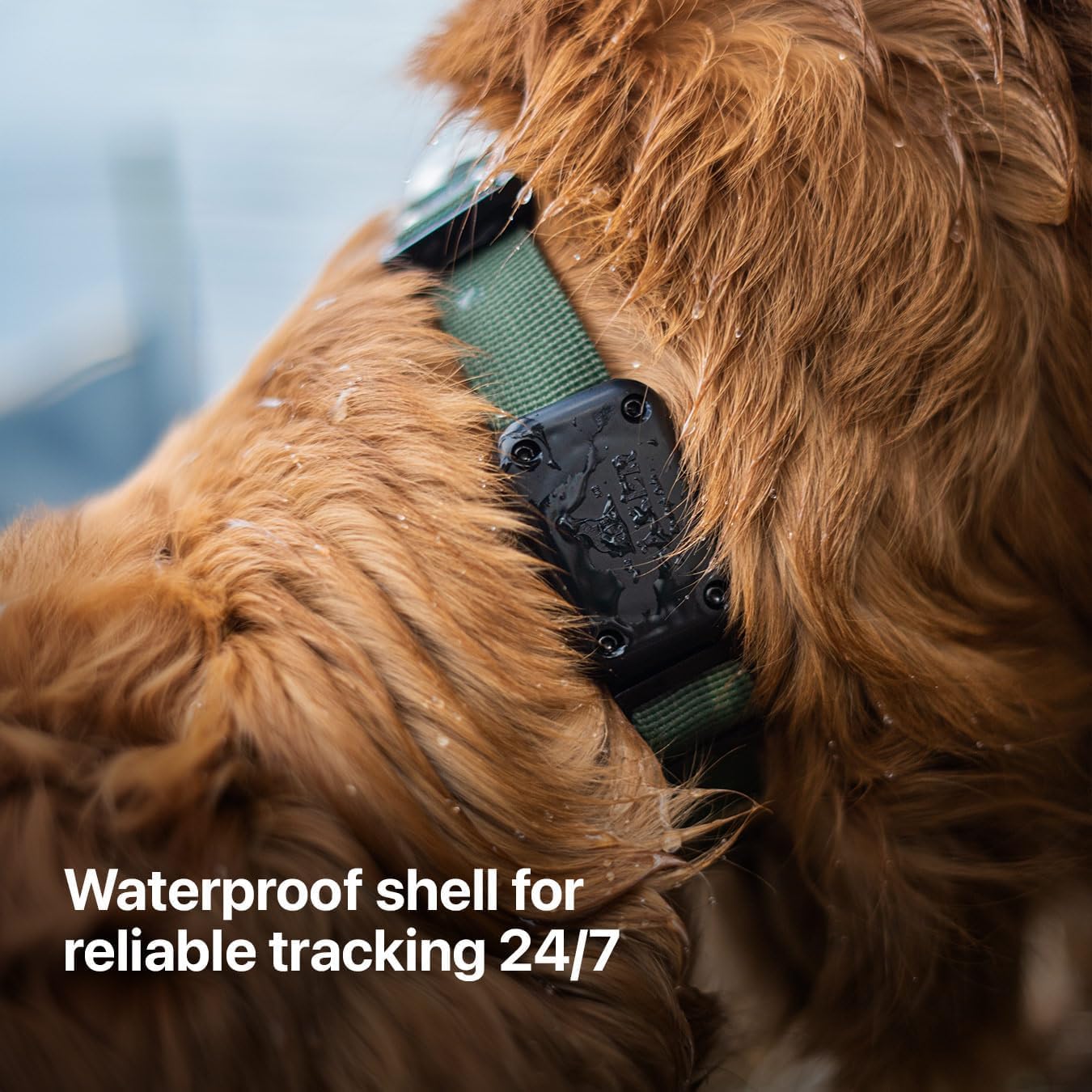 Shield IP68 Waterproof The Safest AirTag Collar Holder, Shockproof, Ultra-Durable, Fits Any Collar, Even Martingale | Perfect Way to Track Your Dog