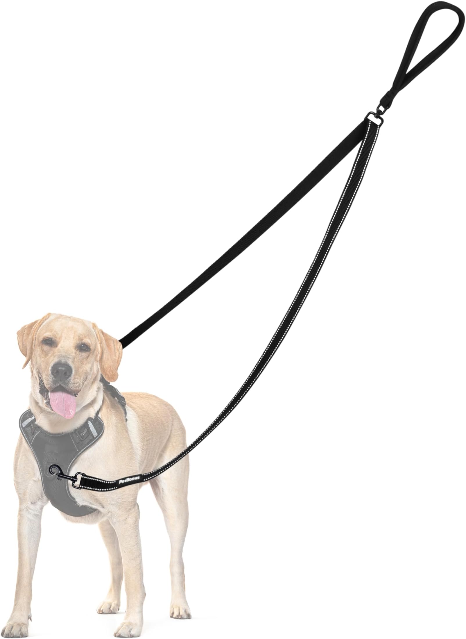PetBonus Two Point Control Leash, Works with Harnesses, Tangle Dog Training Leashes, No Pull Padded and Reflective Walking Lead, Converts to Single Le