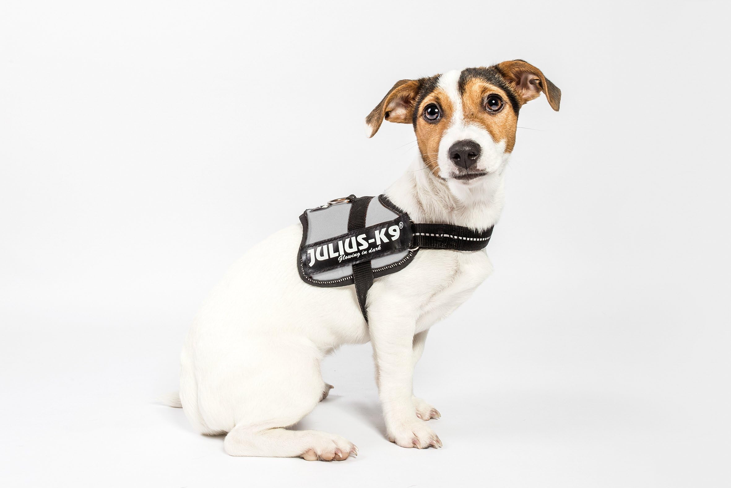 K9 Powerharness, Size: 0 Free shipping