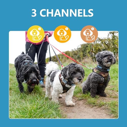 CasaNest Remote - 3300Ft Dog Training 60-100lbs Waterproof, Adjustable E Collar Beep Shock Vibration Modes with Flighing Light for Small Medium Large 