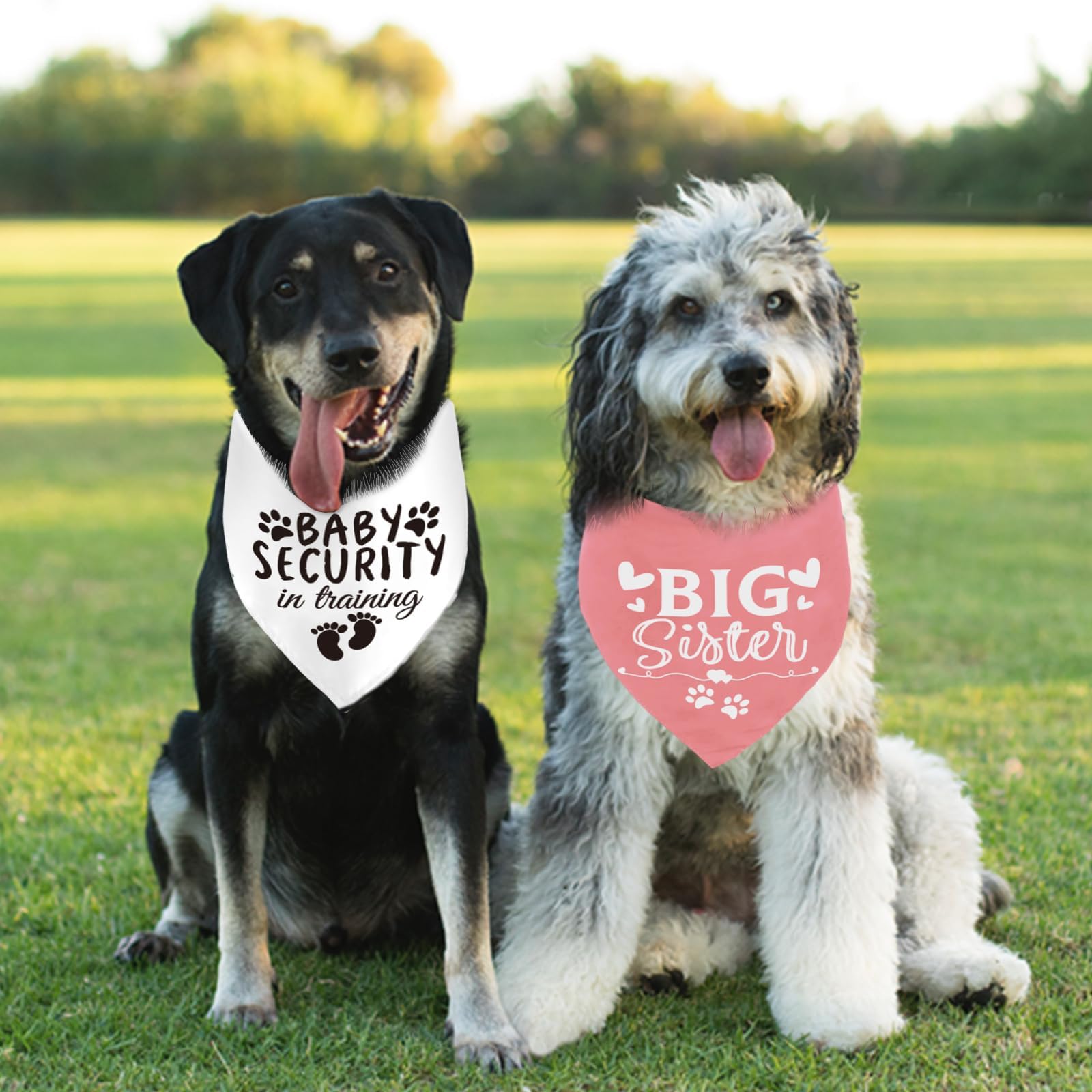 Big Sister Security in Training Printed Baby Announcement Bandanas Pregnancy Dog Bandana for Dogs Pet Scarf Accessories