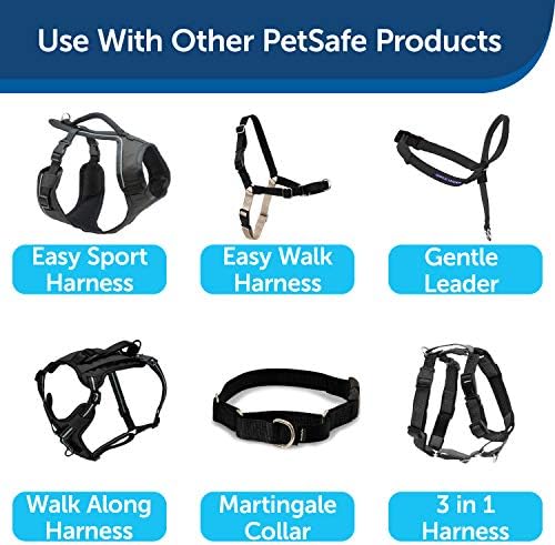 PetSafe Nylon Dog Strong, Durable, Traditional Style Leash with Easy to Use Bolt Snap for Small, Medium and Large Dogs u2013 3/4 x 4', Black