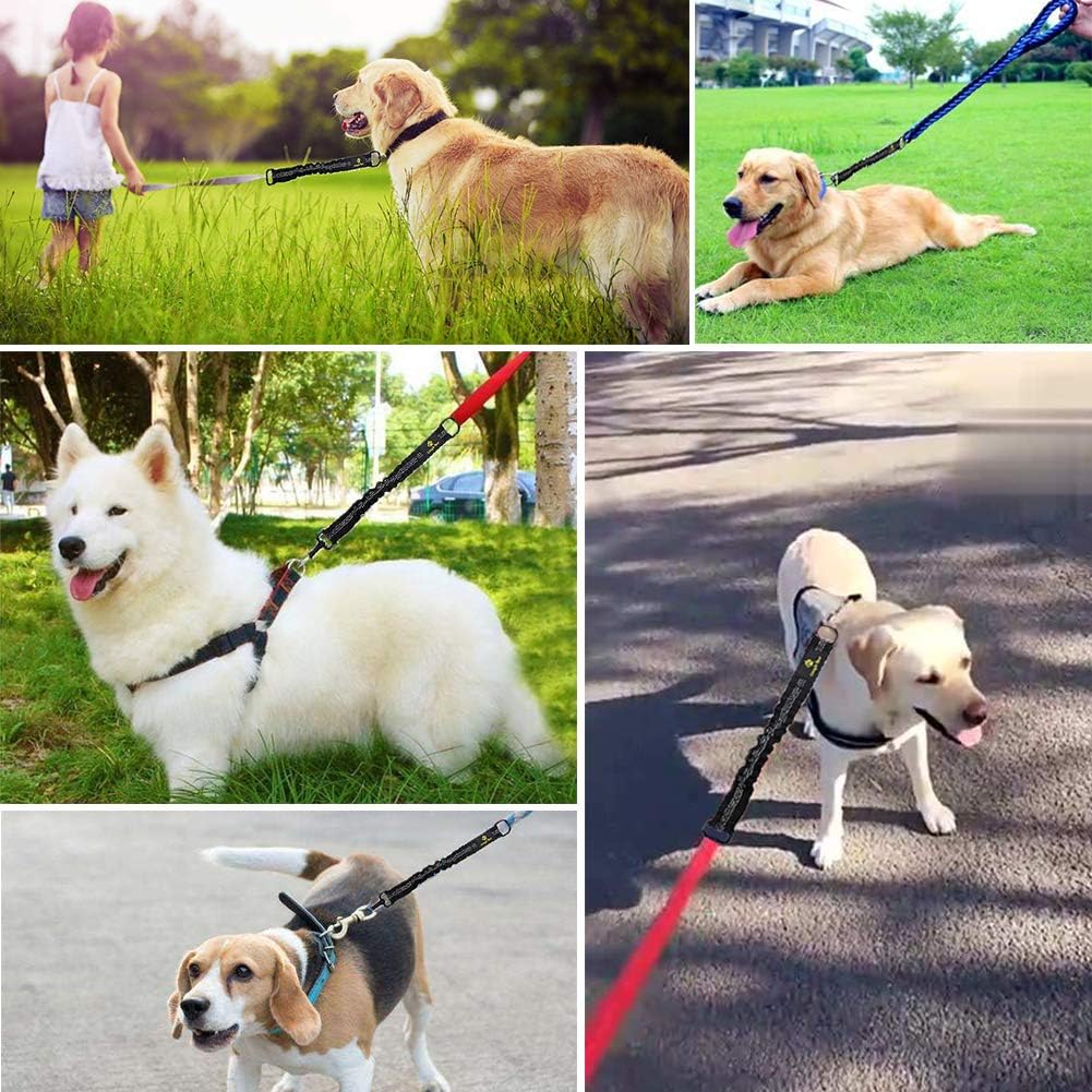 Bungee Dog Leash Attachment, 18u201D Shock Absorbing Lead Extension Absorber, Prevent Injury on Arm and Shoulder & Save Dogs from Getting Hurt, Great 