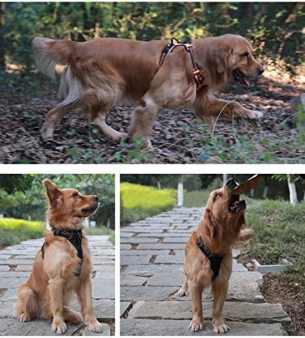 JUXZH Soft Front Dog .Best Reflective No Pull Harness with Handle and 2 Leash Attachments