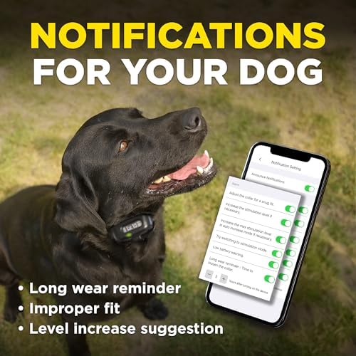 Dogtra Smart NOBARK, detects Whining and Barking, App Control e-Collar, Usage Notification, Behavior Report, Waterproof(IPX9K), 30 Yard Range, Compact