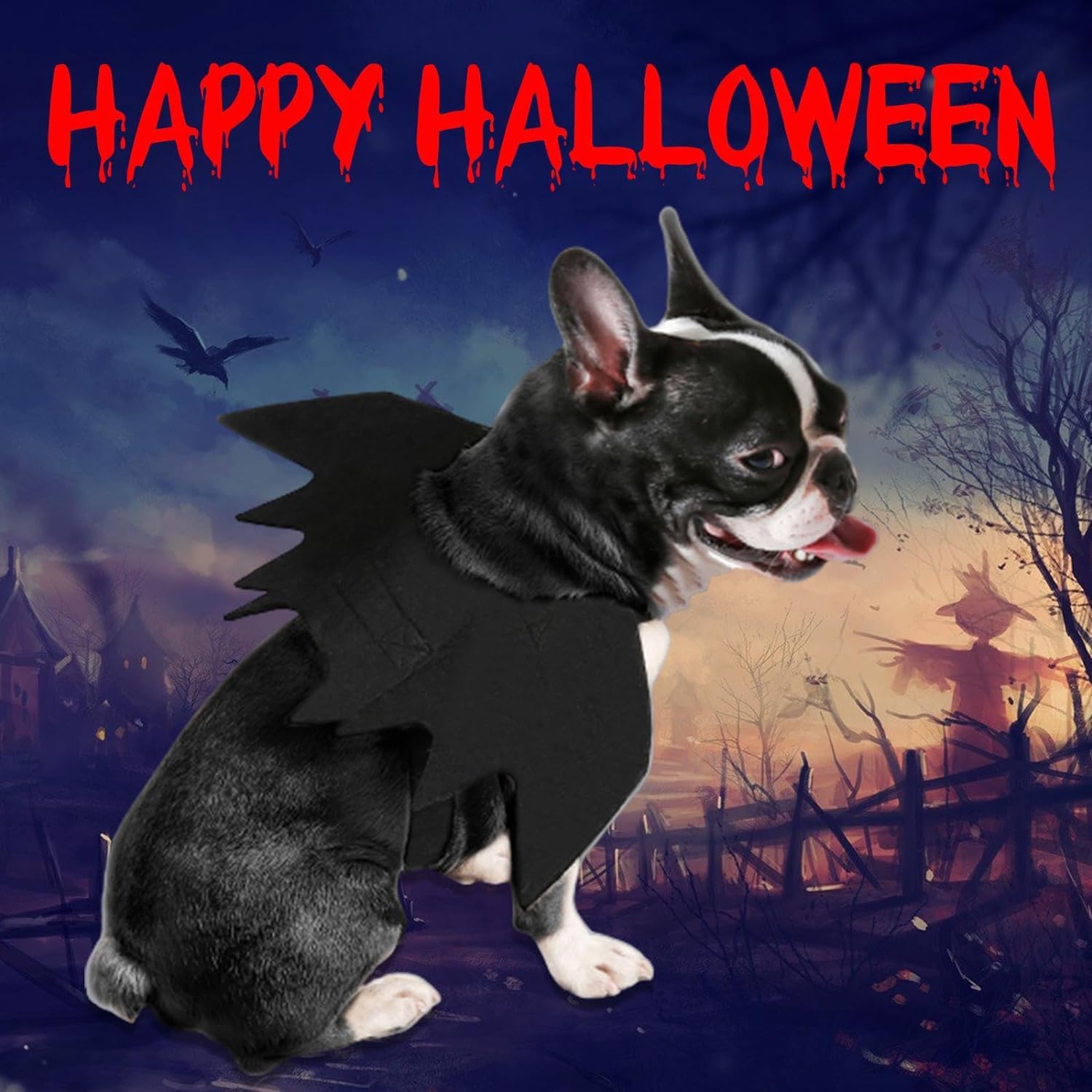 Wings, Pet Costume Small Medium Dogs, Cosplay Bat Wings for Cat Dog Halloween Party Decoration