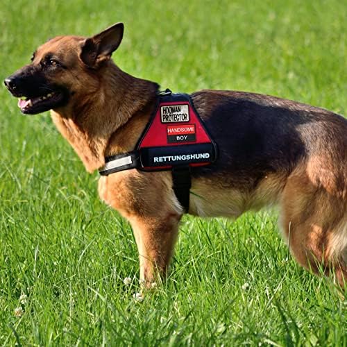 12 Pieces Patches Removable Tactical Harness Set Service Embroidered in Training Animal Working Dog Patch for Vest Harnesses Collars Leashes Free ship