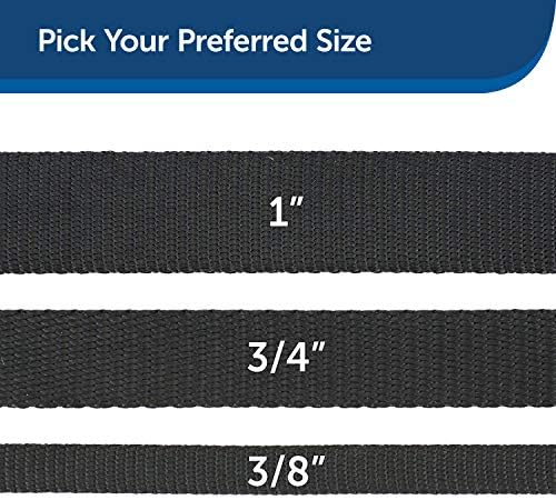 PetSafe Nylon Dog Strong, Durable, Traditional Style Leash with Easy to Use Bolt Snap for Small, Medium and Large Dogs u2013 3/4 x 4', Black