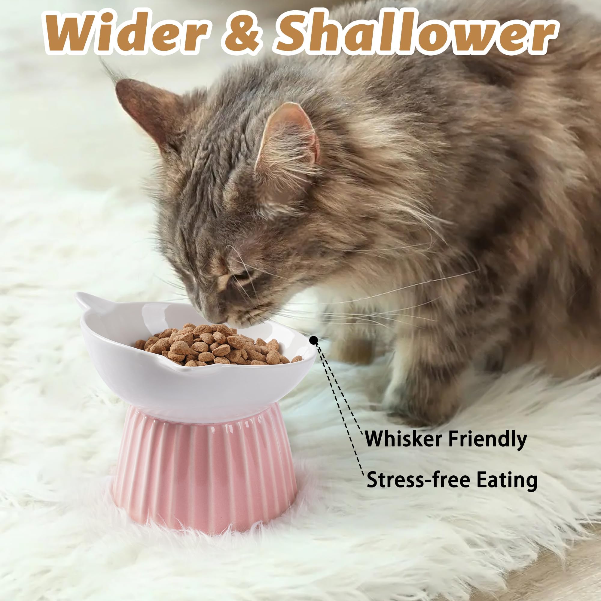 Wellbro Ceramic Raised Cat Bowl,Tilted Raised Cat Bowl Anti Vomit Cat Bowls for Indoor Cats Whisker Friendly Pet Feeder for Cats Puppies, Microwave an