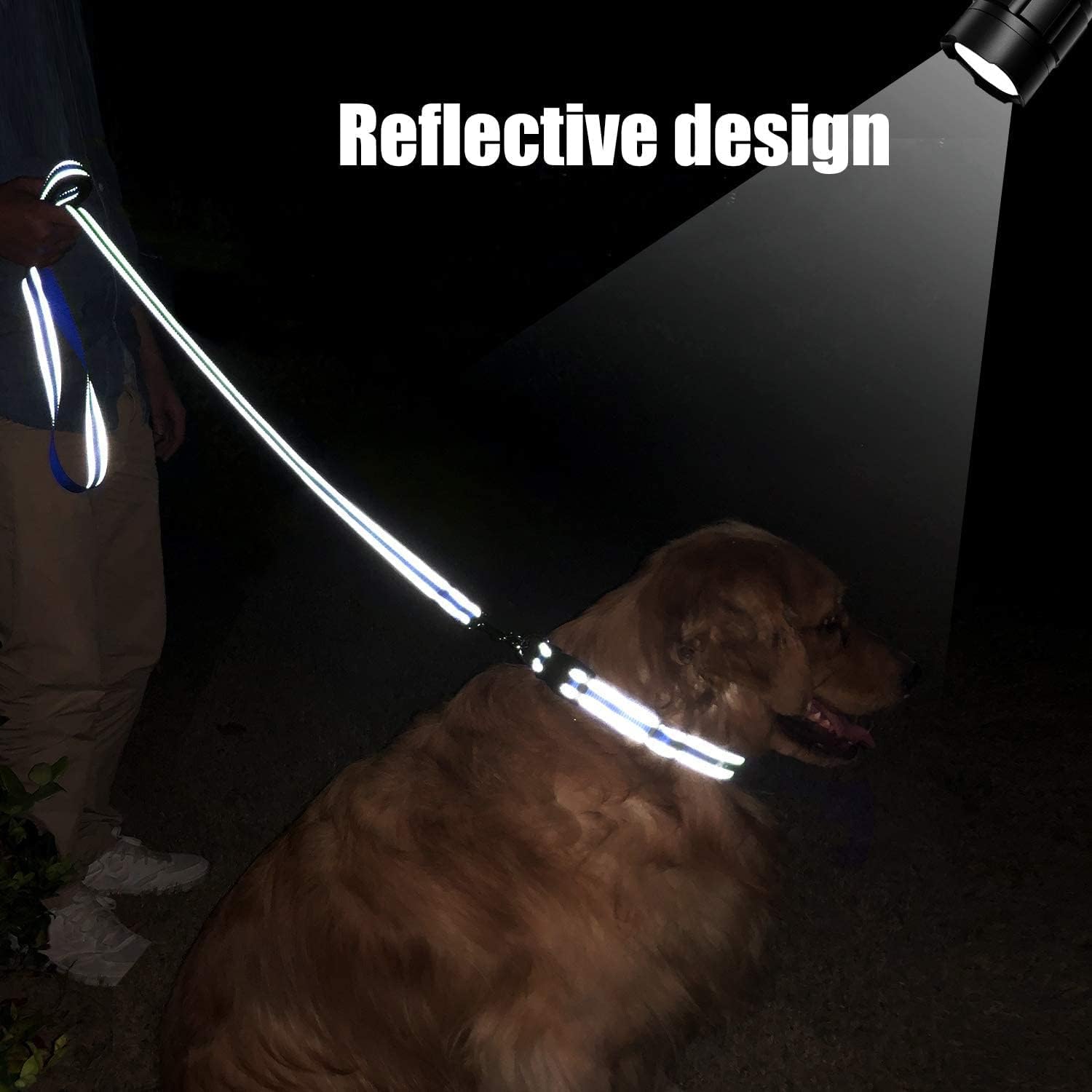 FunTags 6FT Reflective Dog Leash with Soft Padded Handle Training,Walking Lead for Large & Medium Dog, Inch Wide,HOTPINK