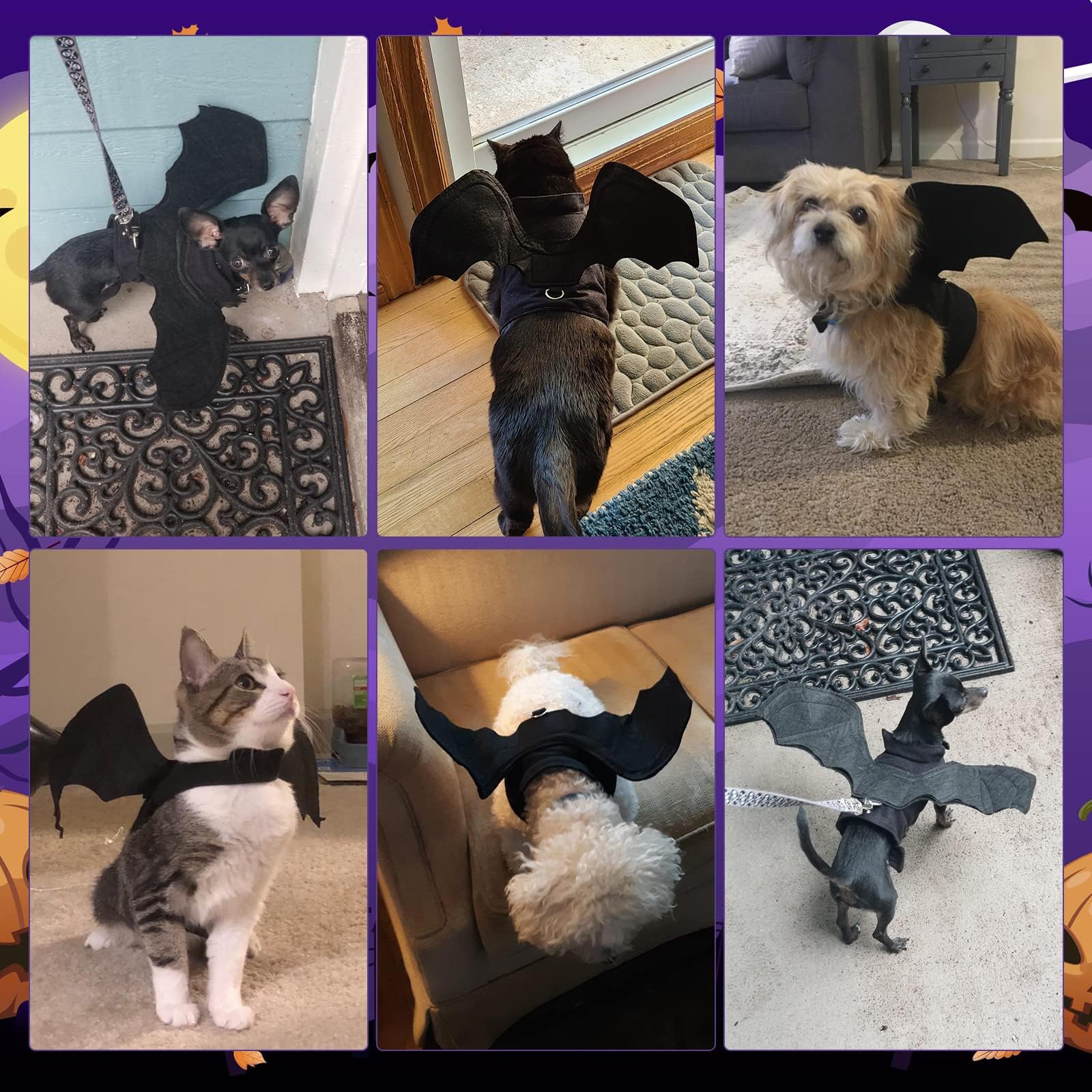 BWOGUE Bat Wings Costume Cat & Dog Pet Apparel Clothes for Halloween Party Large