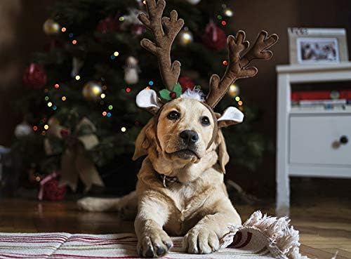 BWOGUE Dog Elk Reindeer Antlers Headbands Set Pet Christmas Costume Accessories Headwear for Medium Large Dogs