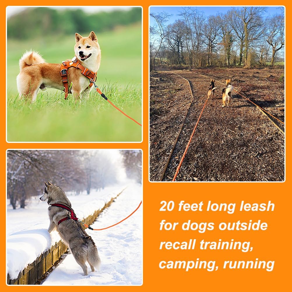 Vivifying Floating Long 20FT Training Leash, Lightweight Dog Check Cord Rope Leash with Comfortable Handle for Outside, Hiking, Swimming, Beach and La