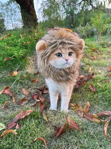 Mane Wig Dog and Costume Pet Adjustable Washable Comfortable Fancy Lion Hair Cat Clothes Dress for Halloween Christmas Easter Festival Party