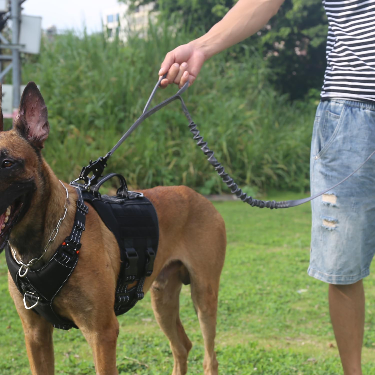 ICEFANG Tactical Dog Leash,K9 Training Walking Bungee Lead with 2 Control Handle,Heavy Duty Quick Release Metal Clasp,Hands Free D-Ring for Medium Lar