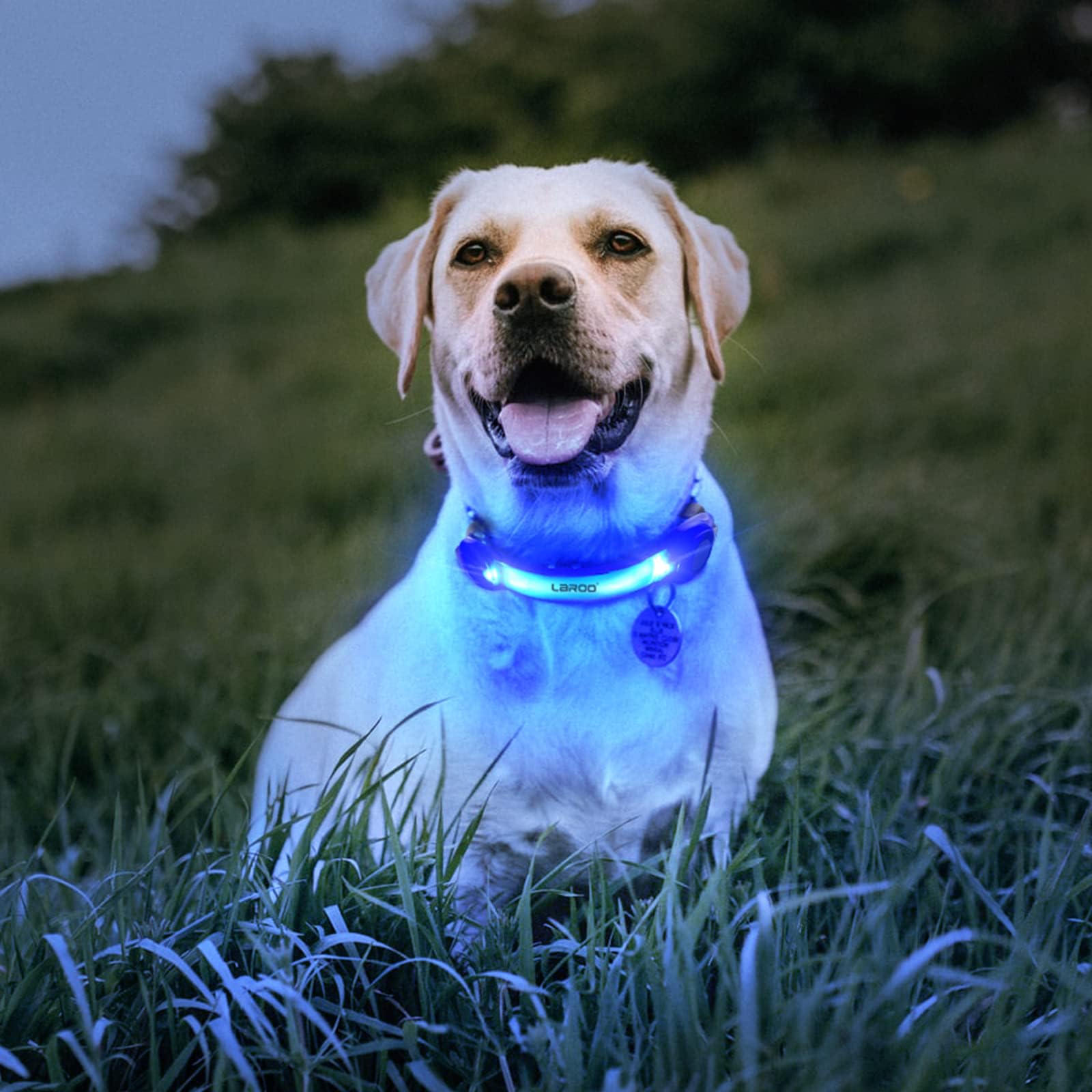 LaRoo Light Up with Nylon Stickers, Universal Glowing Accessories for Leash Harness, Silicone Waterproof Dog LED Flashing Collar Night Outdoor Safety