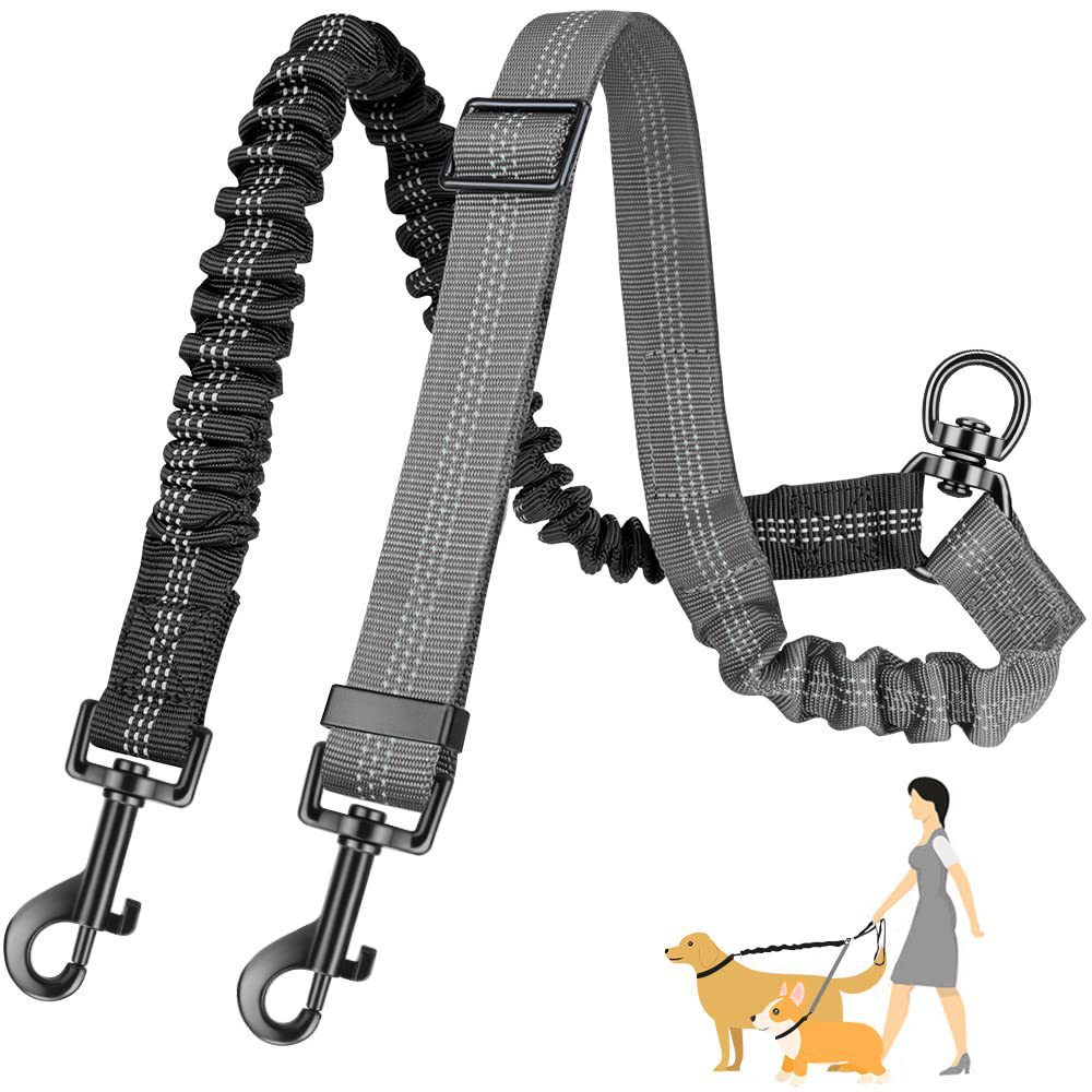 2025 New Large Explosion proof Charging Pet Automatic Scalable One to Two Dog Traction Rope High quality Wholesale Free Shipping