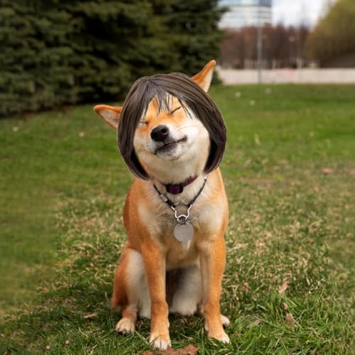 Funny Cat Dog - Brown Bob Haircut with Bangs, Costume for Small to Medium Sized Dogs Cats, Halloween Party Cosplay Apparel Accessories, Comfortable an