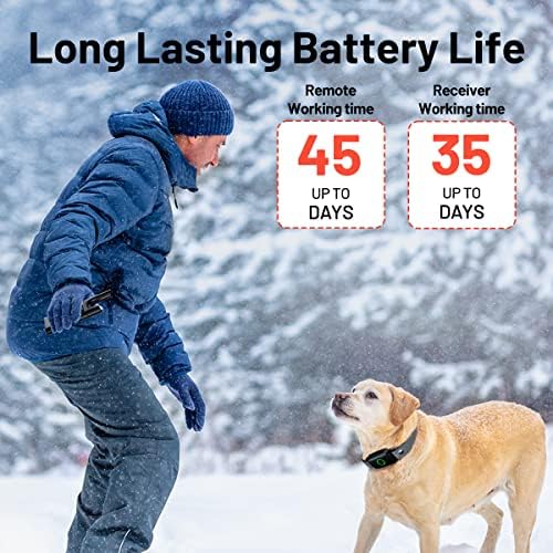 Dog Training with Remote 3300ft Range Waterproof Rechargeable Electric Collar for Small Medium Large Dogs
