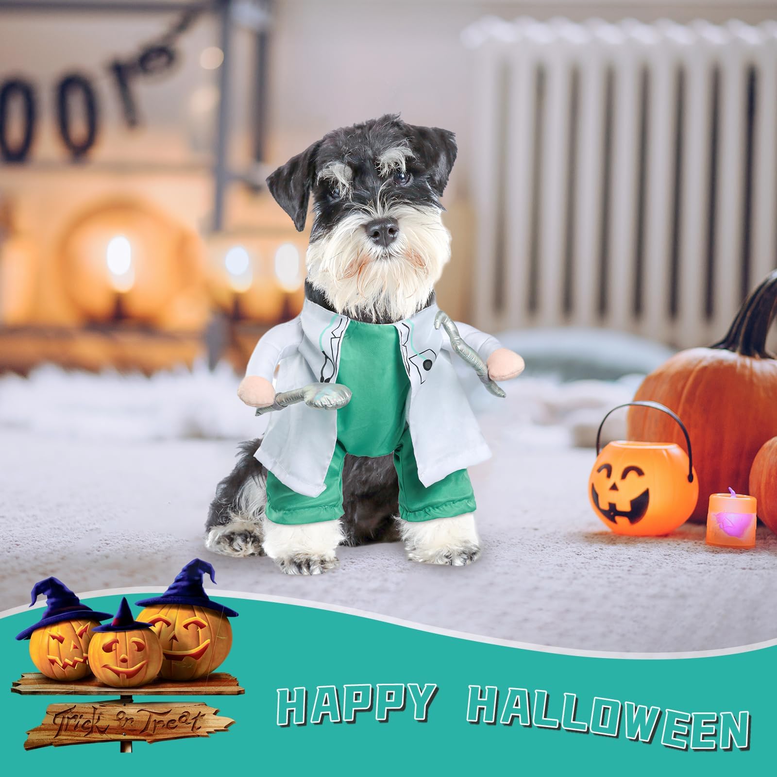 DELIFUR Halloween Dentist - Pet Dress Up Costume Funny Apparel Uniform Adjustable Doctor Cosplay Outfit for Medium Dog