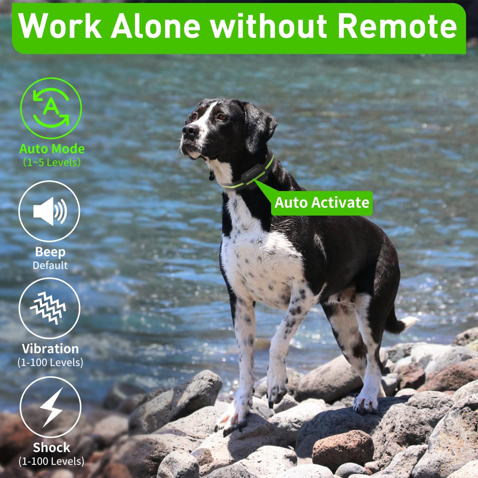PetJoy Automatic for 3 Dogs, Modes, Bark and Training Combo, Shock Collar with Auto Mode (Level 1-5) - Remote 3300 Ft