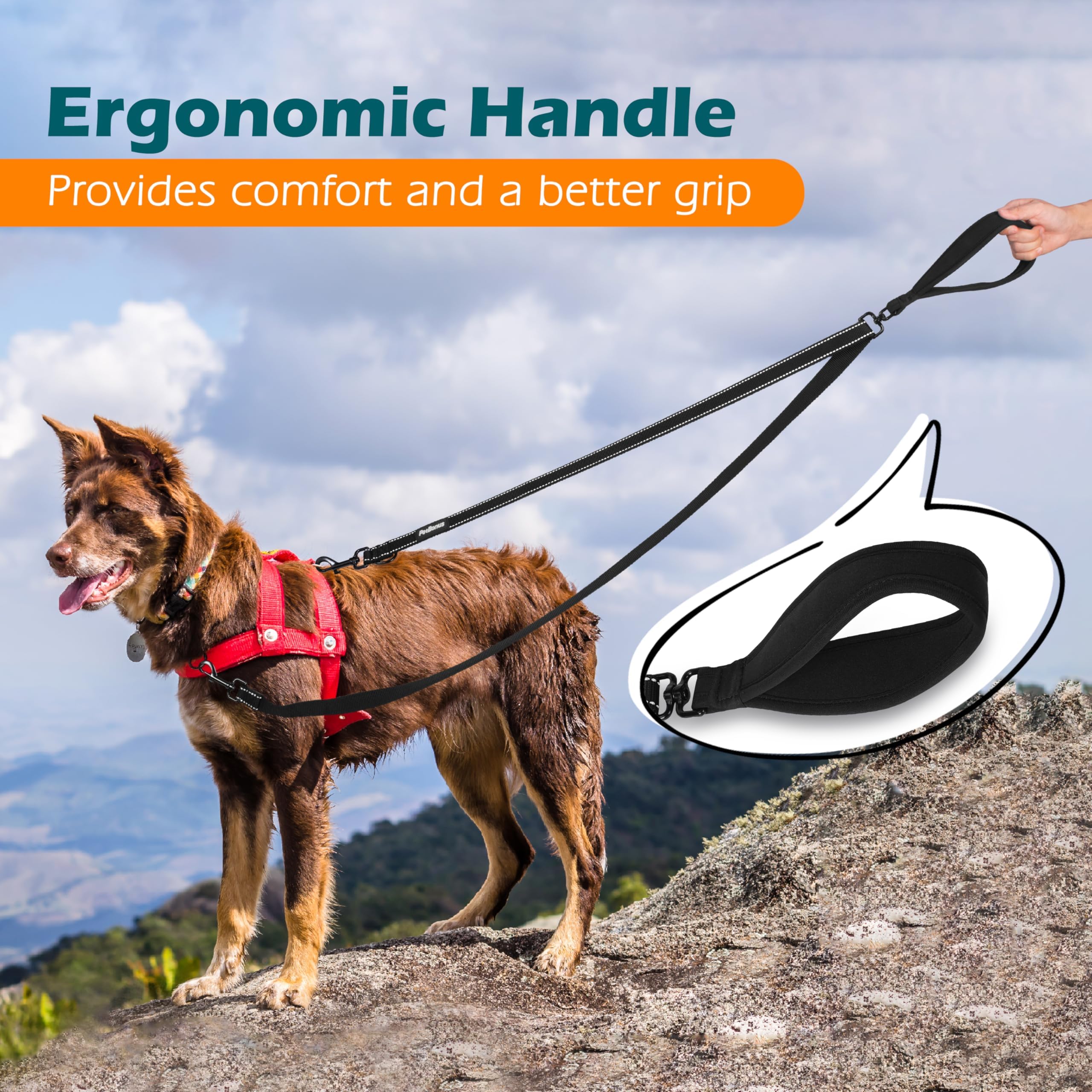 PetBonus Two Point Control Leash, Works with Harnesses, Tangle Dog Training Leashes, No Pull Padded and Reflective Walking Lead, Converts to Single Le