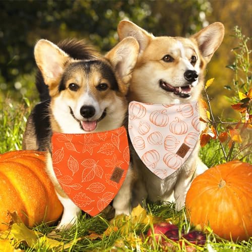 JarThenaAMCS 2Pcs Fall Reversible Bandana Pumpkin Polka Dot Autumn Leaves Gingham Triangle Scarf Orange Adjustable Pet Neckerchief Bibs for Dog Cat Co