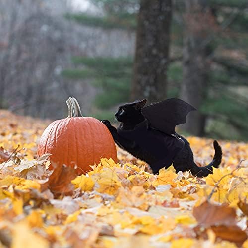 Rypet Pet Costume, Polyester Felt Cloth, Small, Halloween, Unisex, Durable, Easy to Clean, Bat Wings Costume for Small Dogs Cats